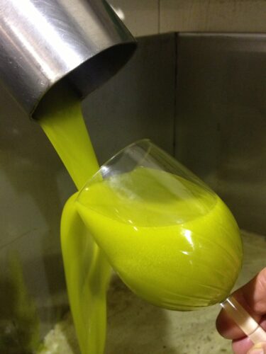 12 aceite de actubre