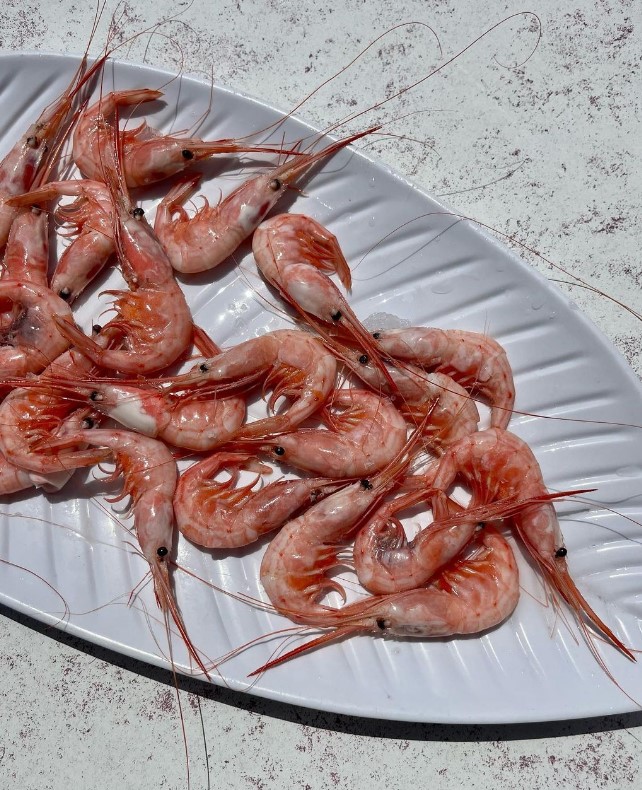 marinaplaya quisquillas malaga