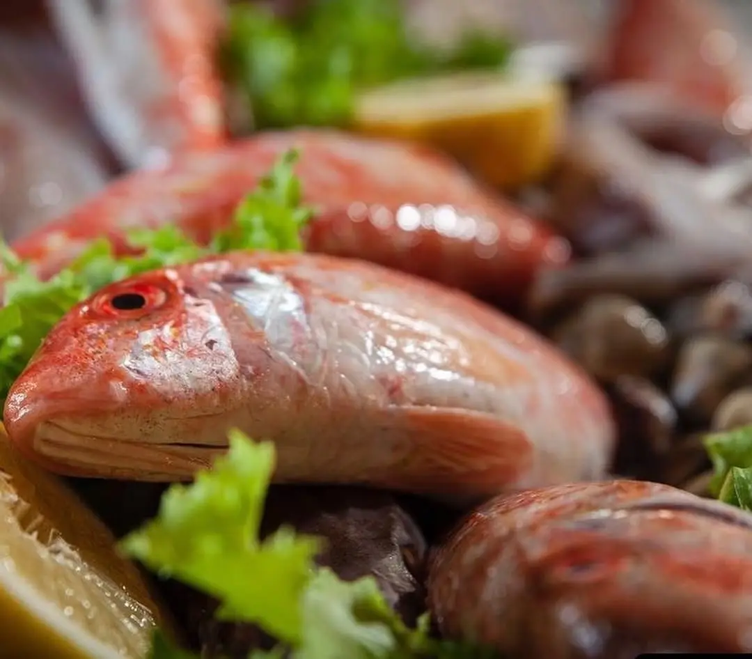 Rincon Catedral salmonete