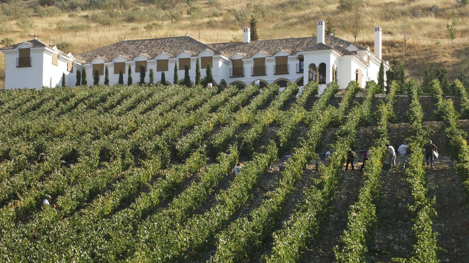 Bodega ramos paul