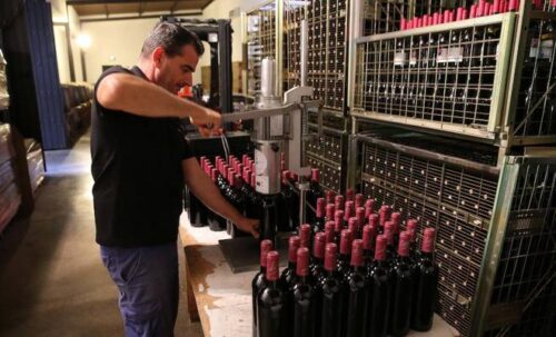 bodegas Perez Hidalgo 10