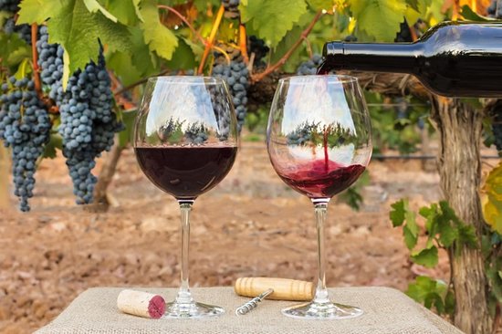 perez hidalgo bodega