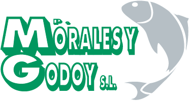godoy trasparente