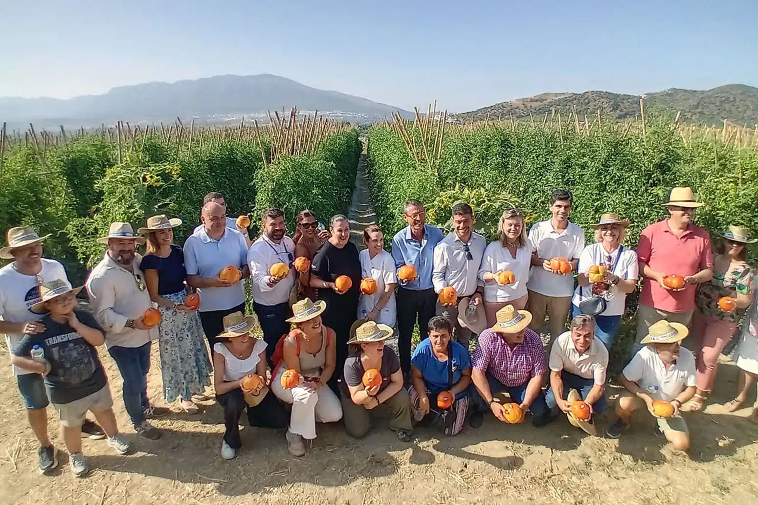 tomate huevo toro 2025