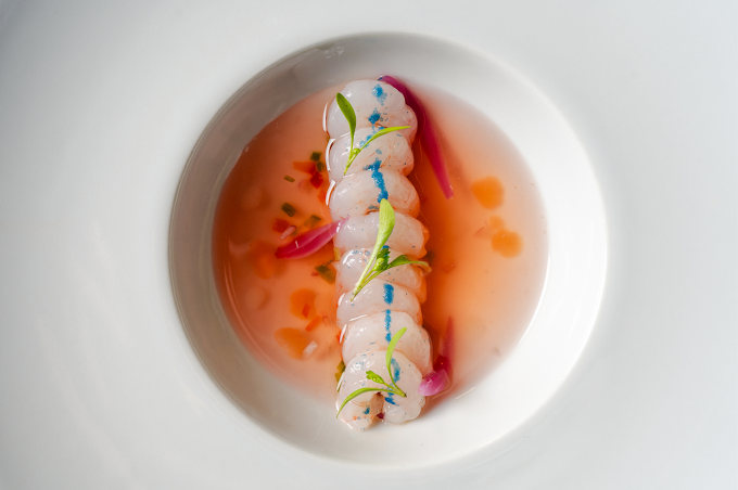 Clomada plato3