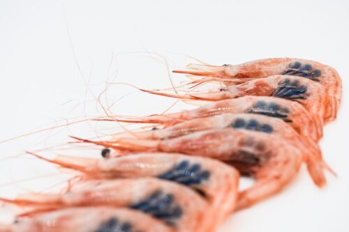 El Puerto quisquillas