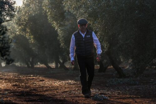 Finca rosa alta campo Finca rosa alta campo