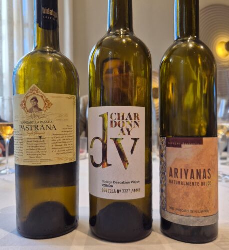 el puerto visita academia vinos el puerto visita academia vinos