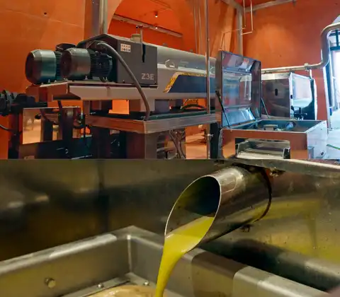 La Almazara Organic almazara La Almazara Organic almazara