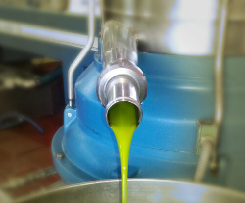 Rioliva elaboracion2 Rioliva elaboracion2