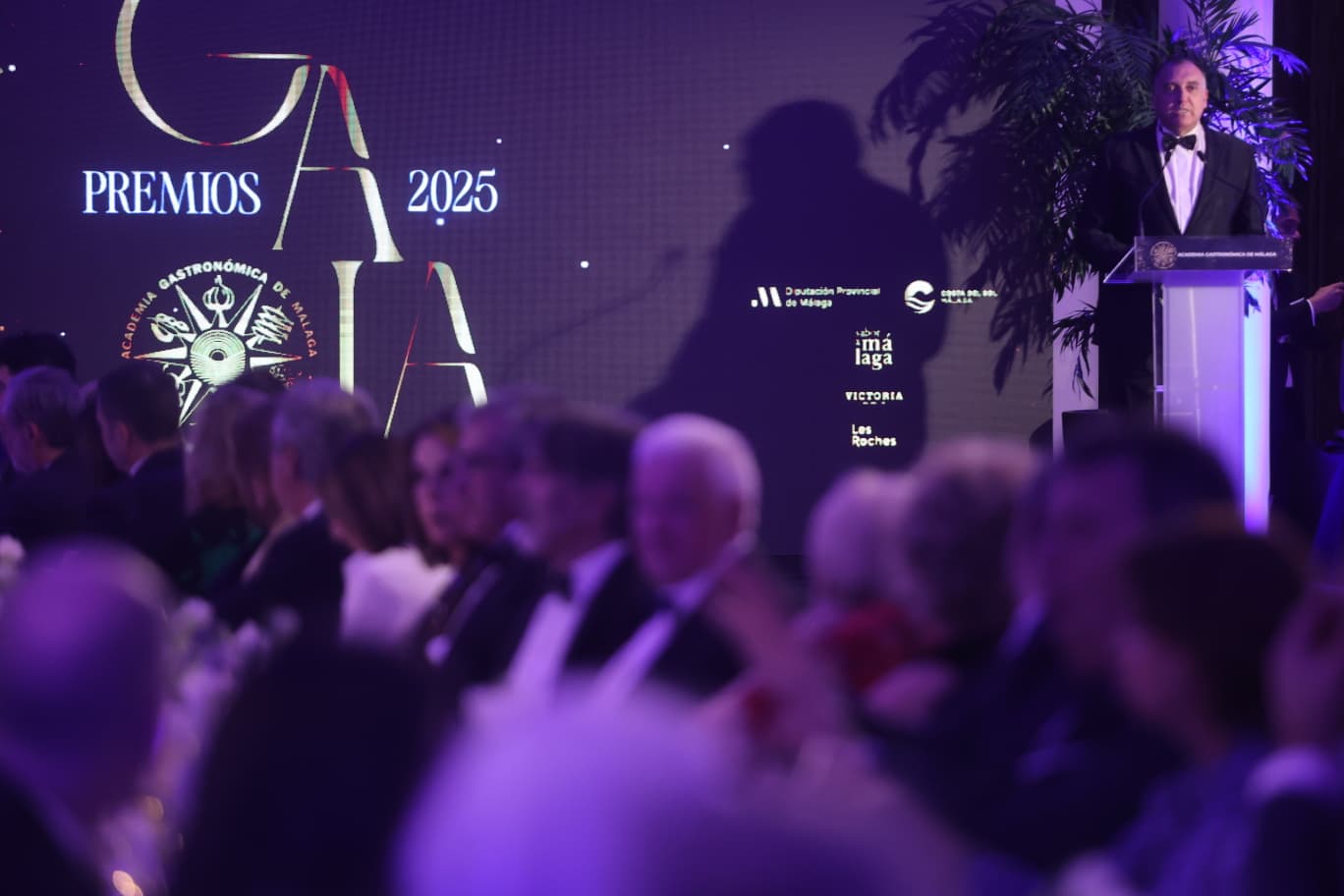 WhatsApp Image 2026 01 10 at 23.55.35 (3)