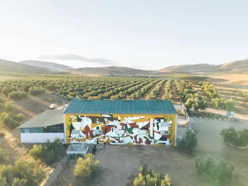 terraverne Aceite almazara terraverne Aceite almazara