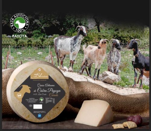 queseria la arriatena 2 queseria la arriatena 2