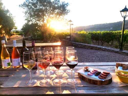 Bodega gonzalobeltran cata Bodega gonzalobeltran cata