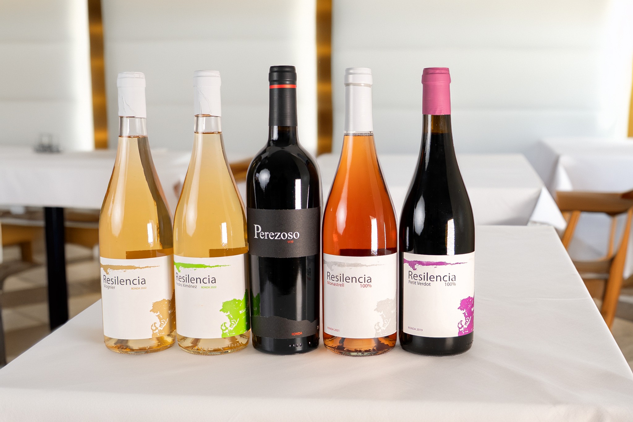 Bodega gonzalobeltran vinos