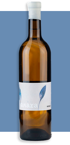 Bodega kieninger botella amara Bodega kieninger botella amara