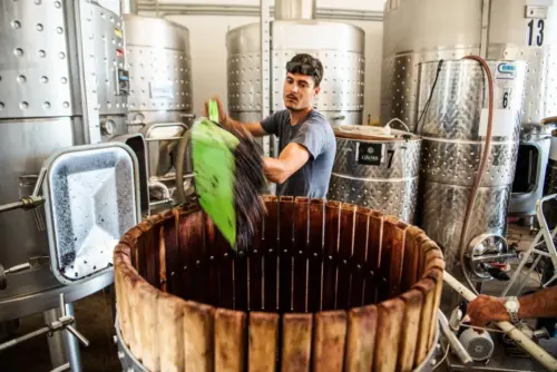 bodega gross la bodega bodega gross la bodega