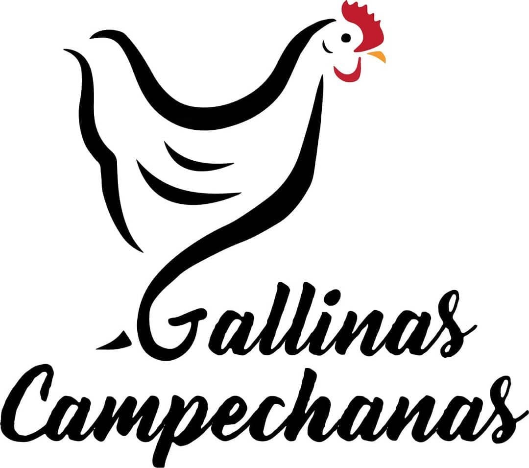 Gallinas campechanas 2