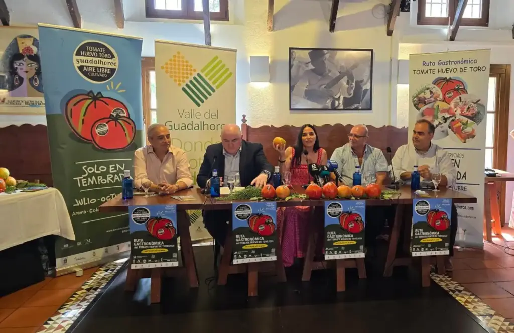 ruta tomate huevo toro 2026