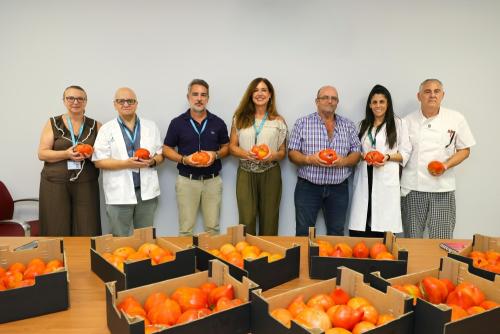 tomate huevo toro hospital