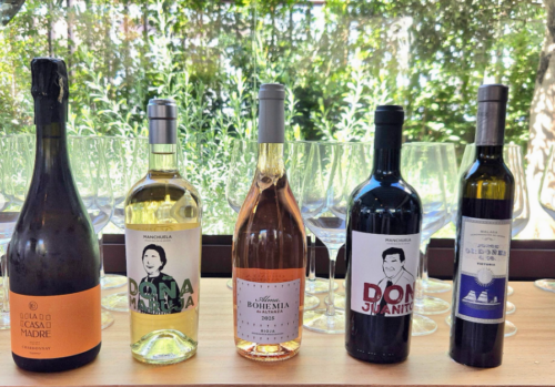 Canitas maite agm bodega Canitas maite agm bodega